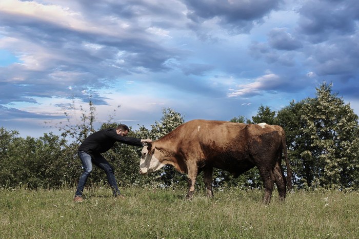 Mladen-Miljanović-Utopian-Realism-FEATURED-IMAGE